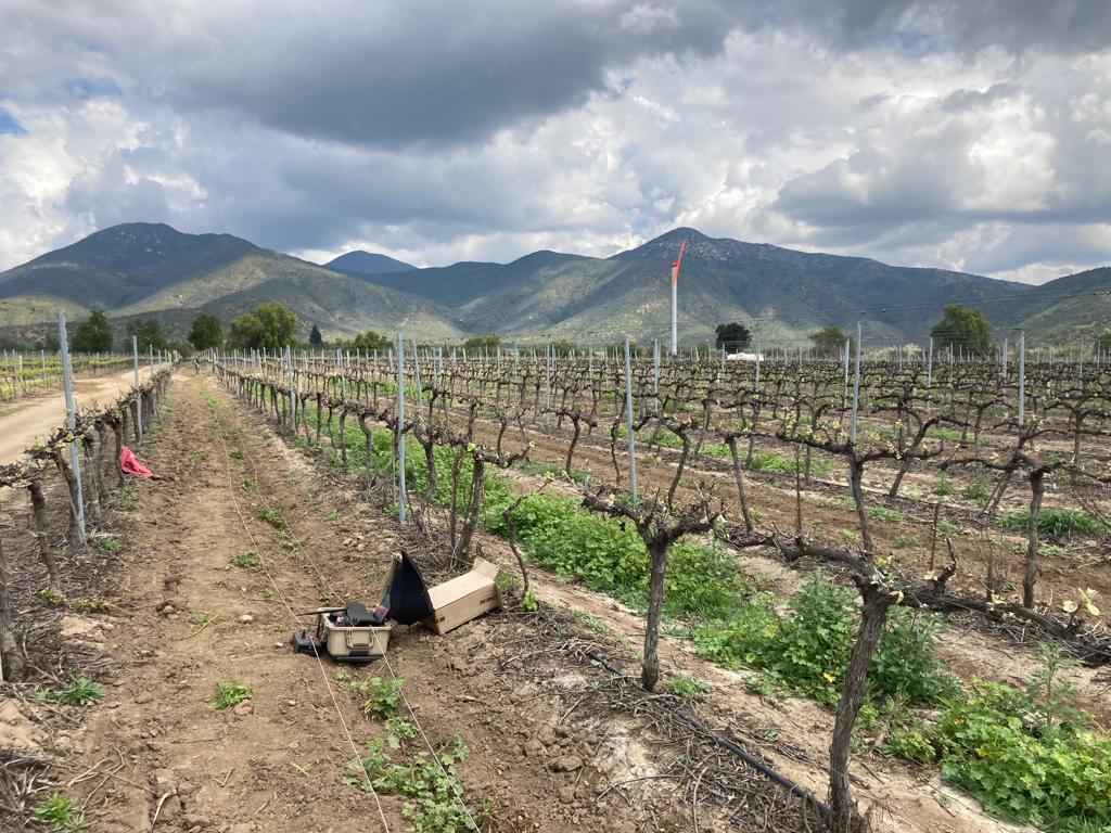 Pozos Profundos en Curacaví